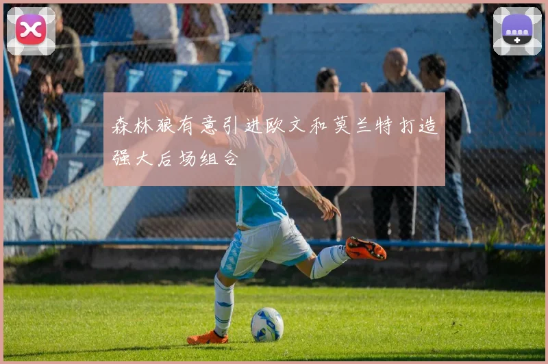 森林狼有意引进欧文和莫兰特打造强大后场组合