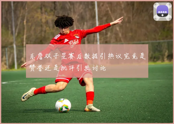 东詹双子星赛后数据引热议究竟是赞誉还是批评引发讨论
